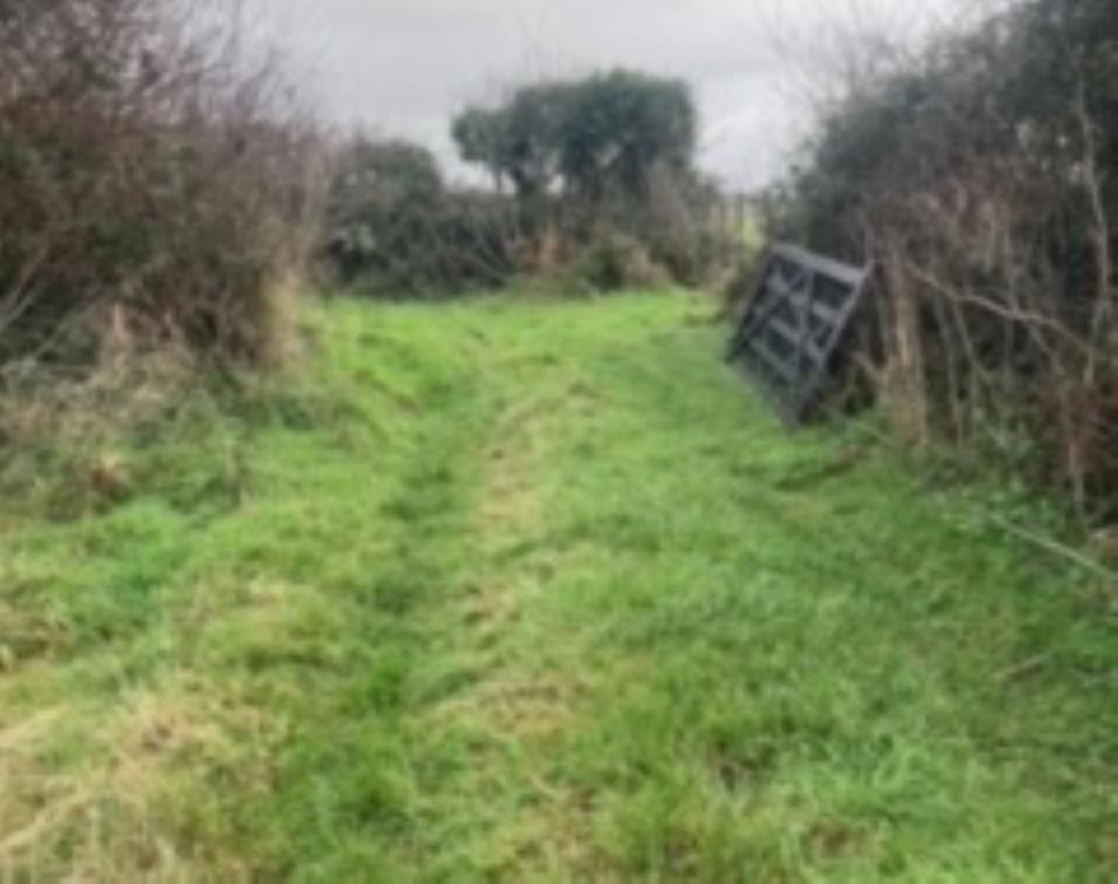 Lot: 167 - PARCEL OF FREEHOLD LAND EXTENDING TO 3.42 ACRES - View of access